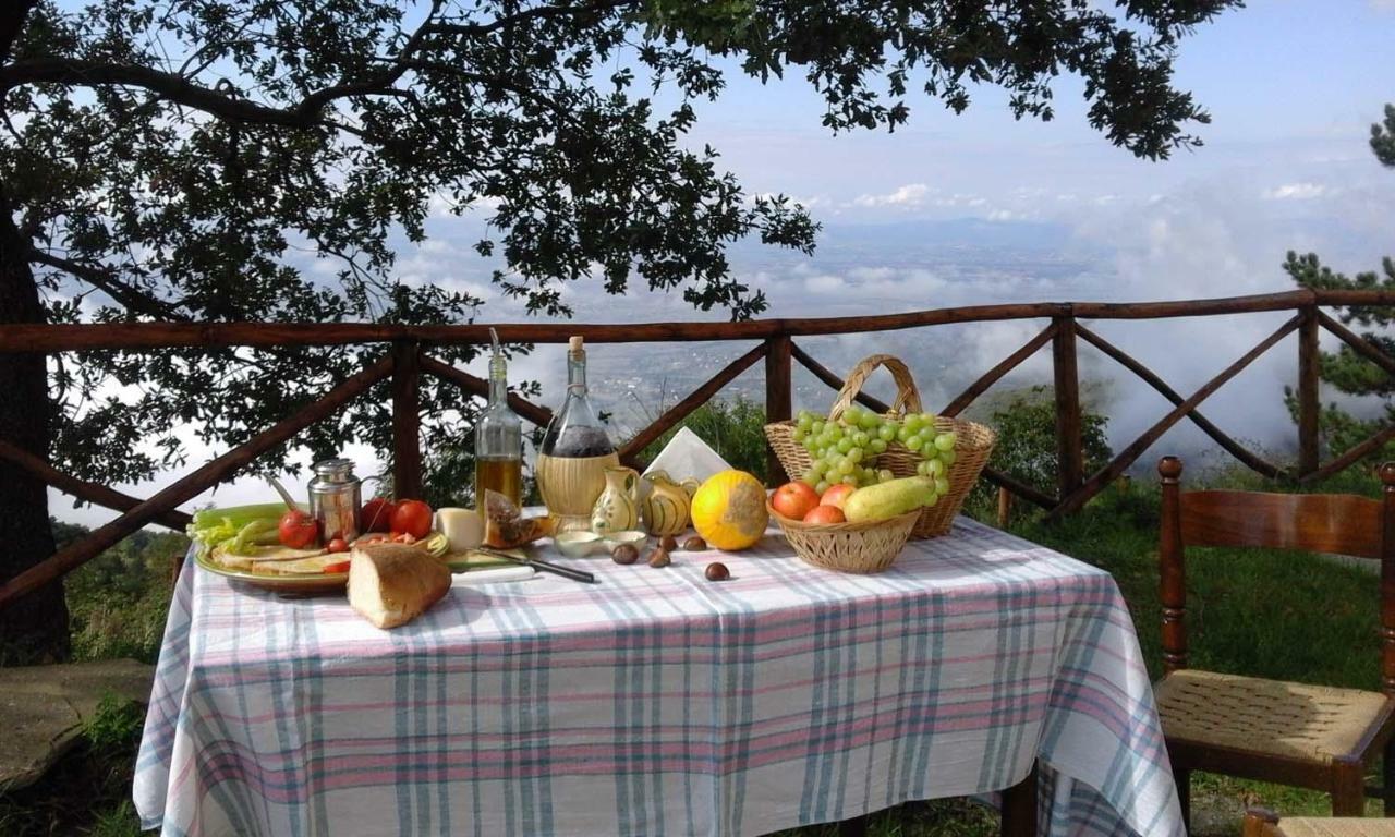 La Casa Gialla Belvedere Cortona Exteriér fotografie