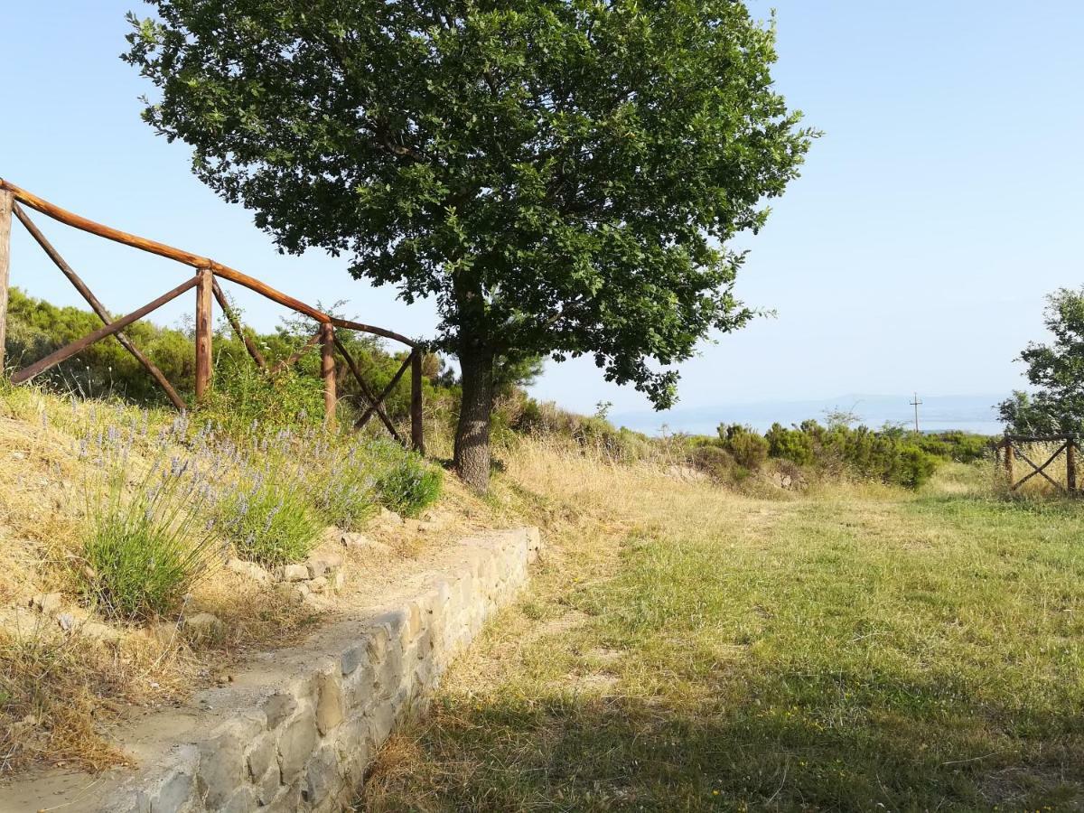 La Casa Gialla Belvedere Cortona Exteriér fotografie